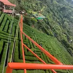 Apaneca house/bonfire/Albanian labyrinth