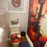 Apaneca house/bonfire/Albanian labyrinth