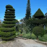 Apaneca house/bonfire/Albanian labyrinth