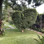 Apaneca house/bonfire/Albanian labyrinth