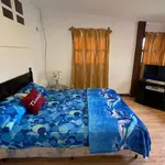 Apaneca house/bonfire/Albanian labyrinth