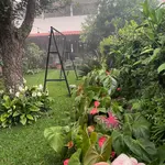 Apaneca house/bonfire/Albanian labyrinth