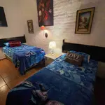 Apaneca house/bonfire/Albanian labyrinth