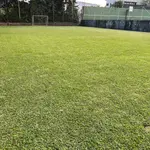 Apaneca house/bonfire/Albanian labyrinth